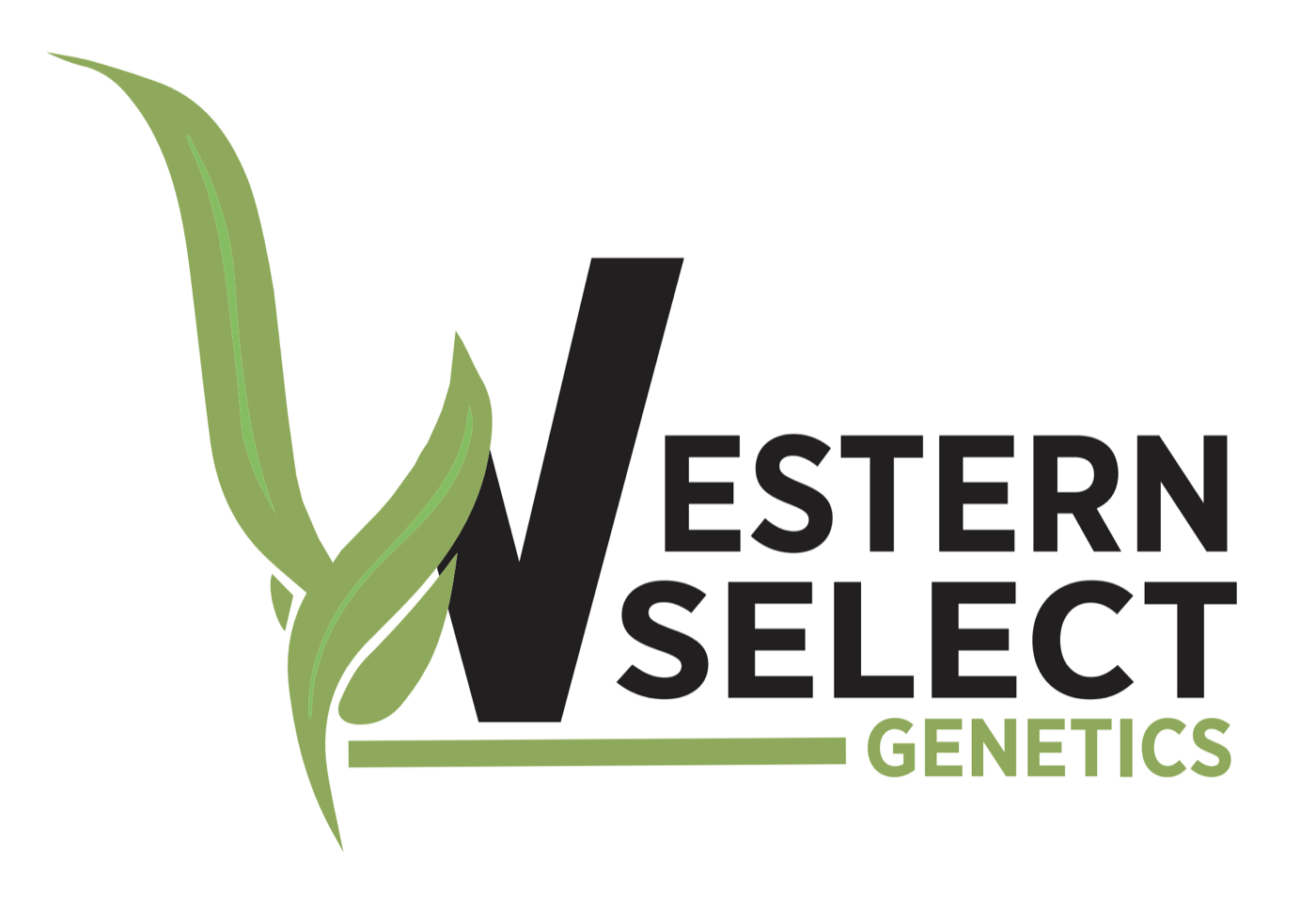Western Select Genetics logo